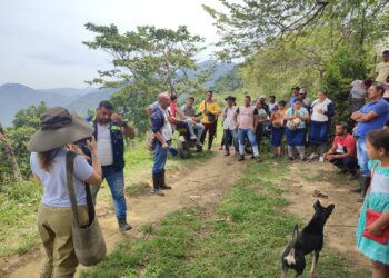 Corpamag no halló el cuerpo del Jaguar muerto en la Sierra Nevada