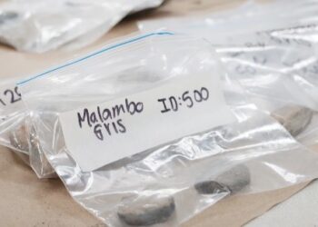 UNIMAGDALENA proyecta  museo arqueológico Kuzagüina: del laboratorio al ciberespacio