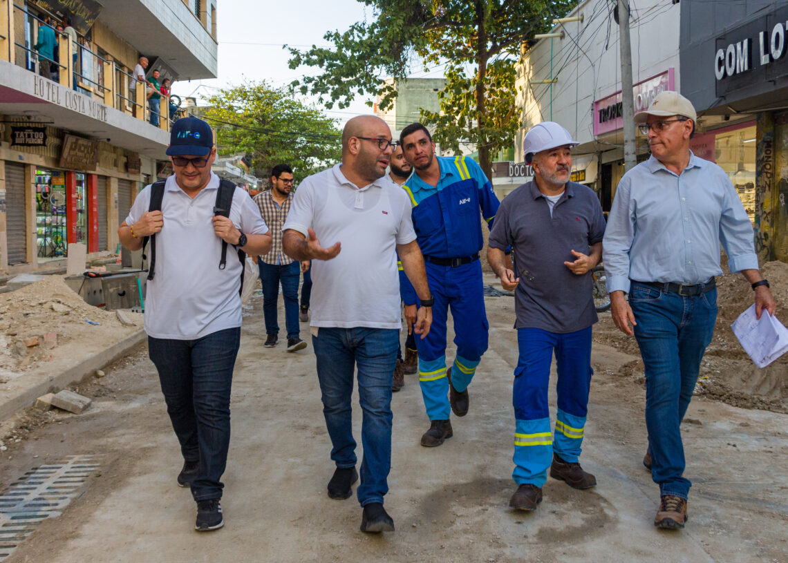 Verifican que se está desarrollando el soterrado de redes en la Carrera Quinta