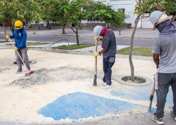 Continúa mantenimiento preventivo en el Camellón de la Bahía