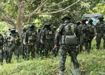 ACSN pide al Gobierno extender cese al fuego bilateral en la Sierra Nevada