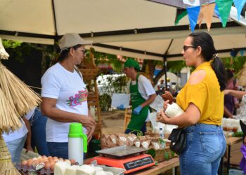 Ferias campesinas dinamizan la economía en San Sebastián