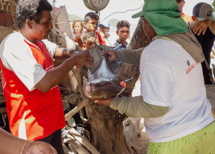 En Santa Marta: Festival de Pesca Artesanal tiene abiertas las inscripciones
