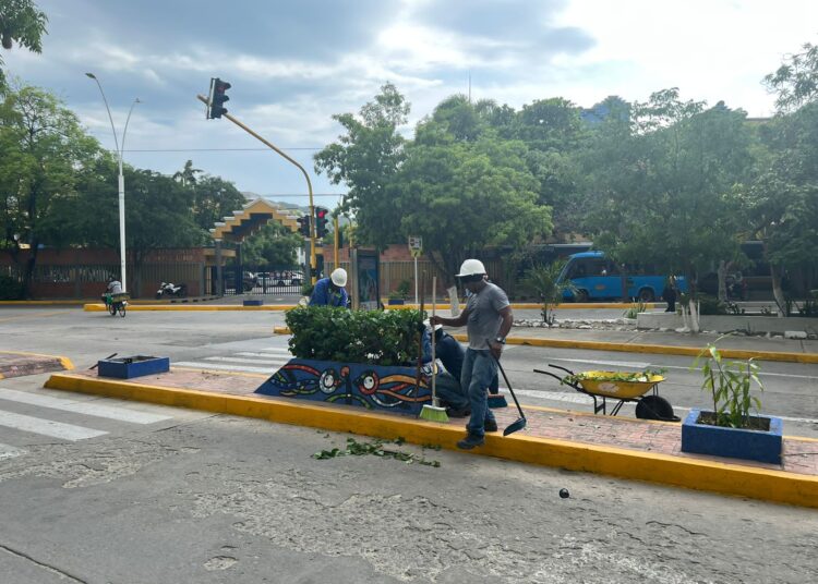Inicia mantenimiento y recuperación de jardineras y parques de Santa Marta