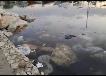 Denuncian contaminación en la Bahía, sector de La Marina Internacional