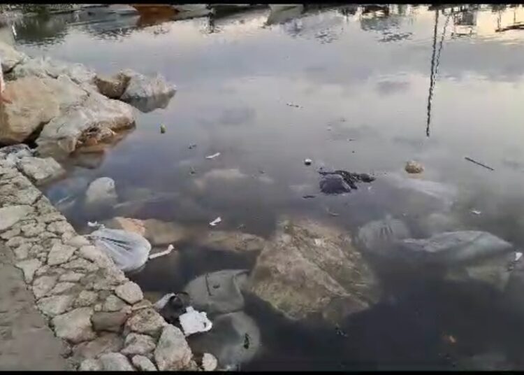 Denuncian contaminación en la Bahía, sector de La Marina Internacional