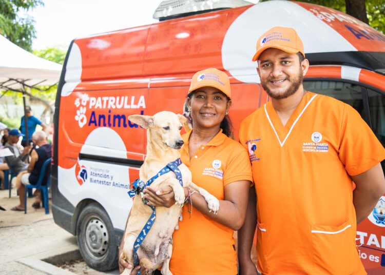 Alianza para la protección de los animales en Santa Marta