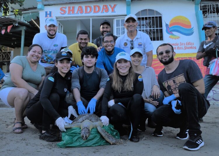 Investigadoras de UNIMAGDALENA crean potencial cura a enfermedad en tortugas marinas