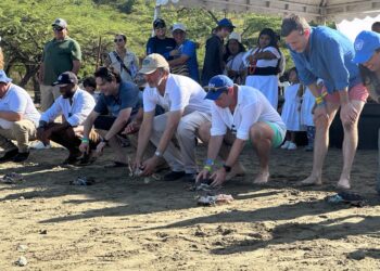 Embajada de Reino Unido y Corpamag liberaron 20 tortugas marinas y 3 tiburones gatos.