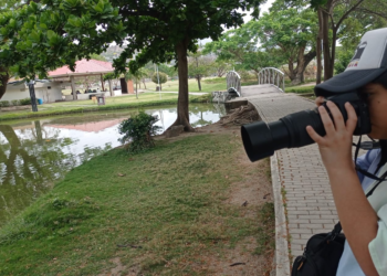 Abren convocatoria para artistas en la FilSMar 2023