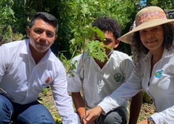 50 árboles nativos para fortalecer el ecosistema de Zona Bananera