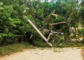 Árboles causaron daños a infraestructura de bombeo de agua en Santa Marta