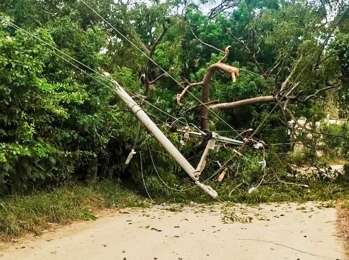 Árboles causaron daños a infraestructura de bombeo de agua en Santa Marta