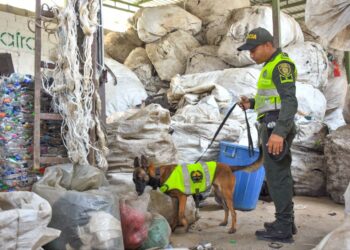 Tatequieto a las ‘chiveras’ en Santa Marta: sellan siete por normas sanitarias