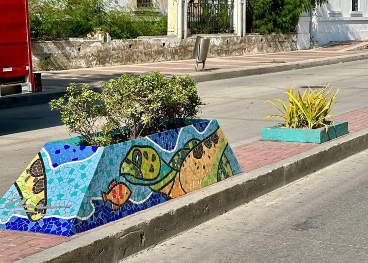 La falta de cultura ciudadana en Santa Marta se refleja en sus jardineras