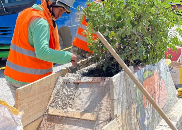 Intervienen las jardineras en las principales avenidas de Santa Marta