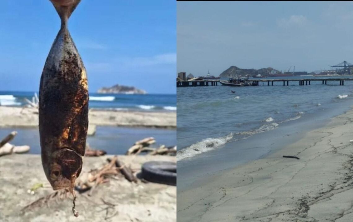 Alerta por derrame de hidrocarburo en playa Los Cocos, de Santa Marta