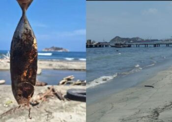 Alerta por derrame de hidrocarburo en playa Los Cocos, de Santa Marta