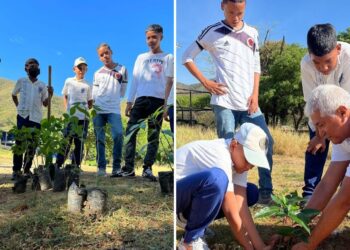 Una nueva jornada de siembra de árboles en Taganga