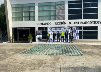 Caen 280 kilos de coca en un camión que iba hacia el puerto de Santa Marta