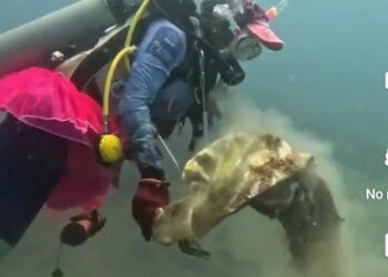 Buzos hallan en lecho marino una lona que ahoga 130 M2 de arrecifes en el Tayrona