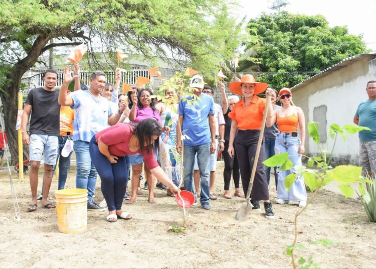 Patricia Caicedo lideró siembra de especies nativas en 5 barrios de Santa Marta