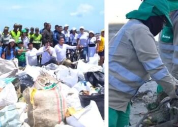 Recogen más de 2 toneladas de basuas de la playa Los Cocos y el río Manzanares