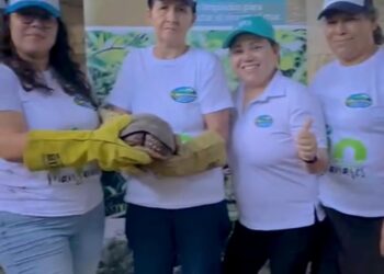 Fanny, la recicladora que entregó a Corpamag 30 morrocoyos rescatados de la basura