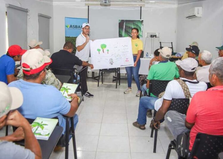 Capacitan a 100 pequeños productores bananeros del Magdalena
