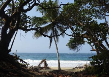El Parque Tayrona se cerrará entre 29 de octubre y 2 de noviembre