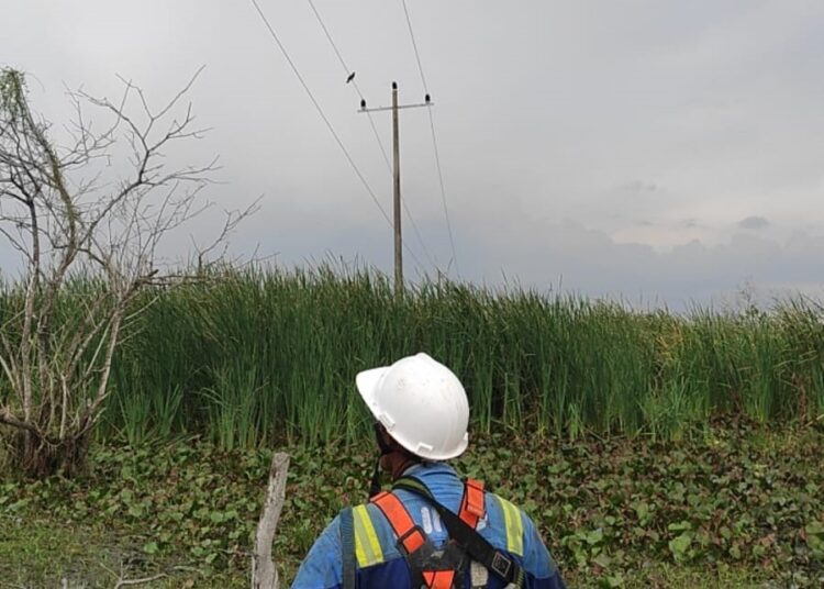 Restablecen servicio eléctrico a zona palafítica de la Ciénaga Grande