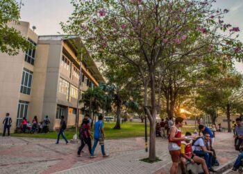 Esta semana: la V Bienal Internacional de Educación y Cultura de Paz en Santa Marta