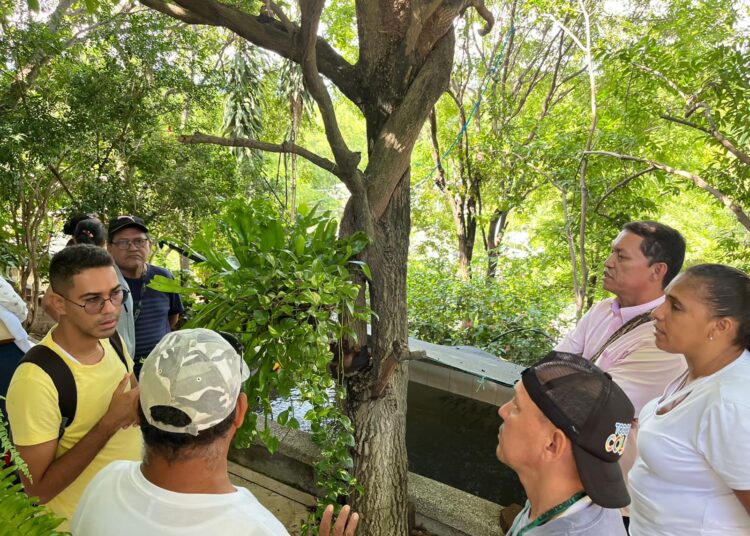 Reactivan ‘La Sierra vuelve a sembrar’: más de 1000 productores del agro beneficiados