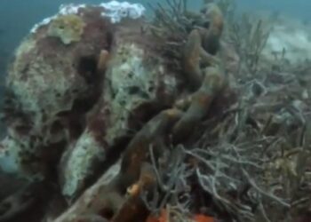 Cadena de boya de señalización sigue destruyendo arrecifes en el morro de Santa Marta