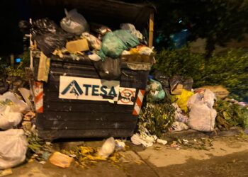 «Inoperancia de Atesa sigue atentando contra Santa Marta y su gente»: Johnson