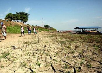 Medidas para mitigar los efectos del Fenómeno de El Niño adoptó Corpamag