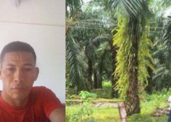 Gravemente herido al recibir una descarga eléctrica, en Algarrobo