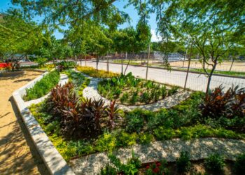 Adecuaciones en el Parque Deportivo Bolivariano avanzan en un 75%