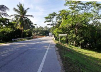 Murió mientras talaba un árbol en Aracataca