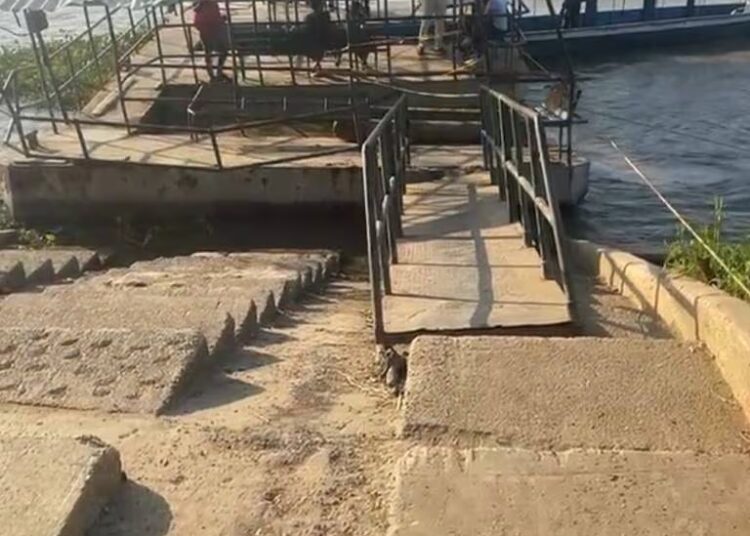Los salamineros no solo sufren la erosión fluvial: también el deterioro de su muelle