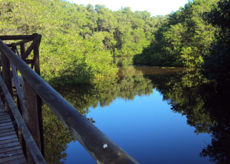 Así fue el hurto por $700 millones al Vía Parque Isla de Salamanca