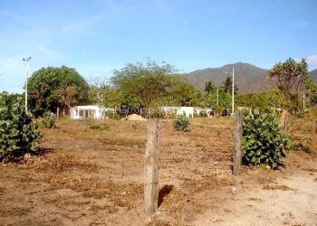 Denuncian que estarían envenenando perros en el barrio Vista Hermosa