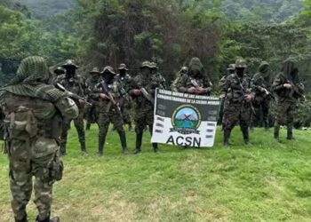 Autodefensas Conquistadoras quieren a Mancuso como “gestor de paz” ante el Gobierno