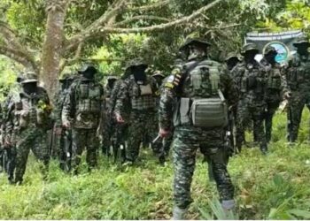 Preocupa hegemonía de grupos al margen de la ley en la Sierra Nevada: Defensoría