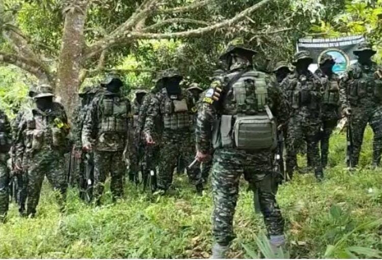 Preocupa hegemonía de grupos al margen de la ley en la Sierra Nevada: Defensoría