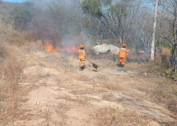 Continúan incendios forestales activos en el norte del Magdalena