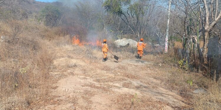 Continúan incendios forestales activos en el norte del Magdalena