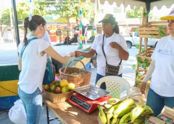 Impulso al comercio justo y el consumo responsable en el Magdalena