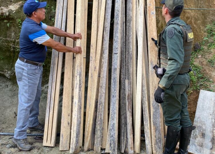 Corpamag lidera decomiso de madera obtenida ilegalmente en la Sierra Nevada de Santa Marta