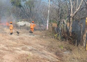 Autoridades en alerta: 200 incendios forestales registrados en el Magdalena